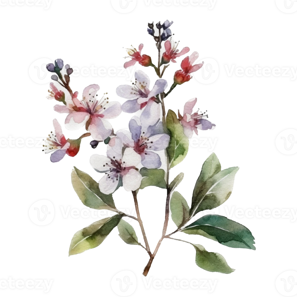 Beautiful flower with leaf watercolor ai generate png
