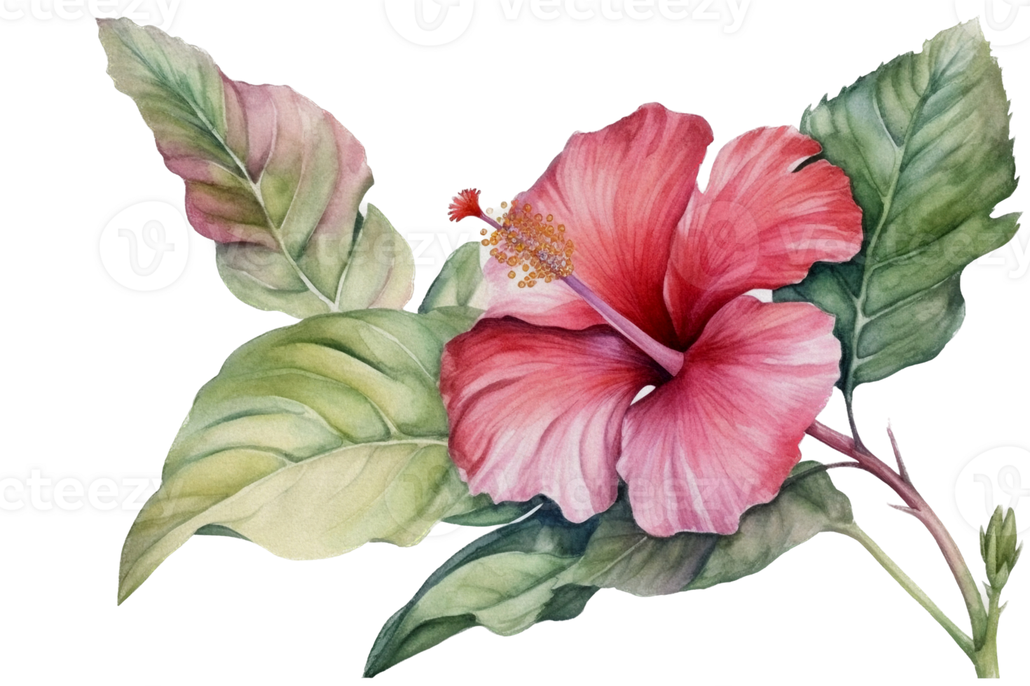 Beautiful flower with leaf watercolor AI Generate png