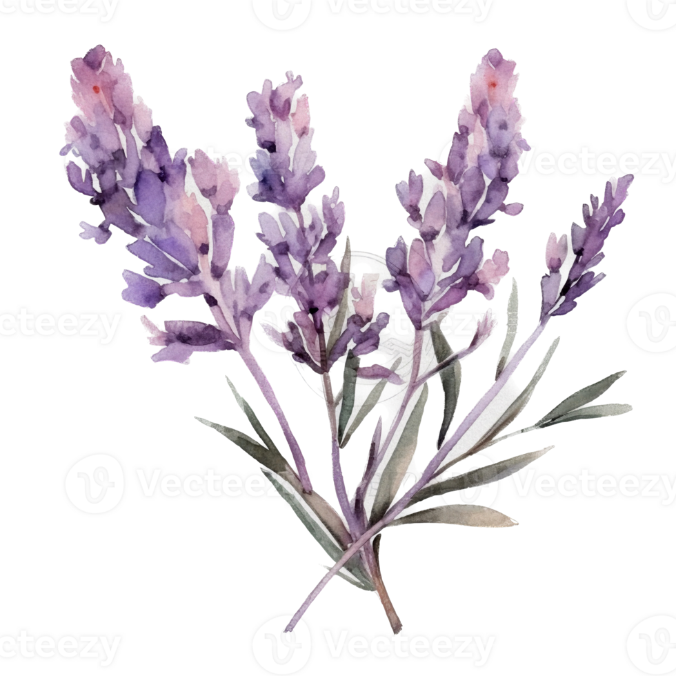 Beautiful flower with leaf watercolor ai generate png