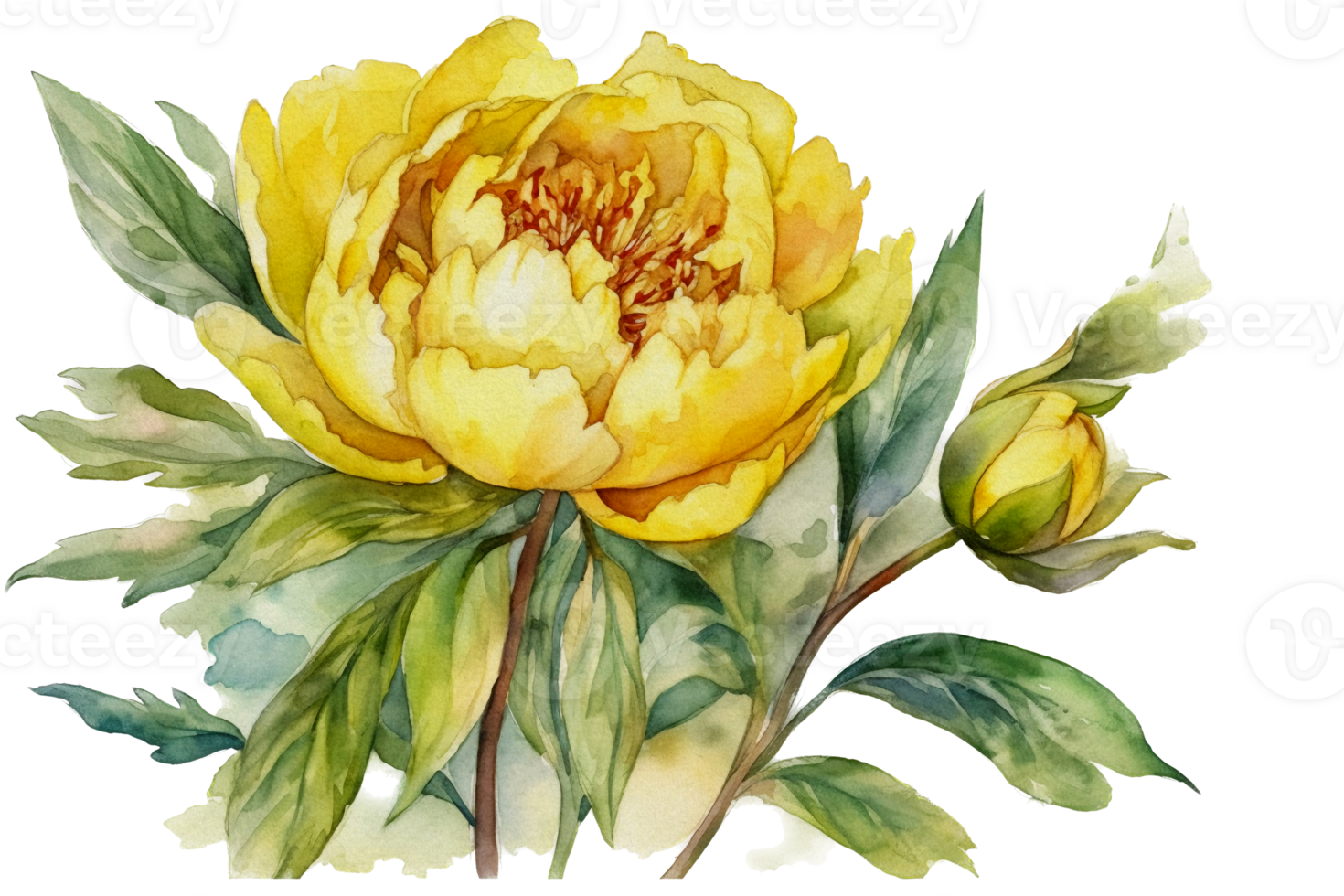 Beautiful flower with leaf watercolor AI Generate png