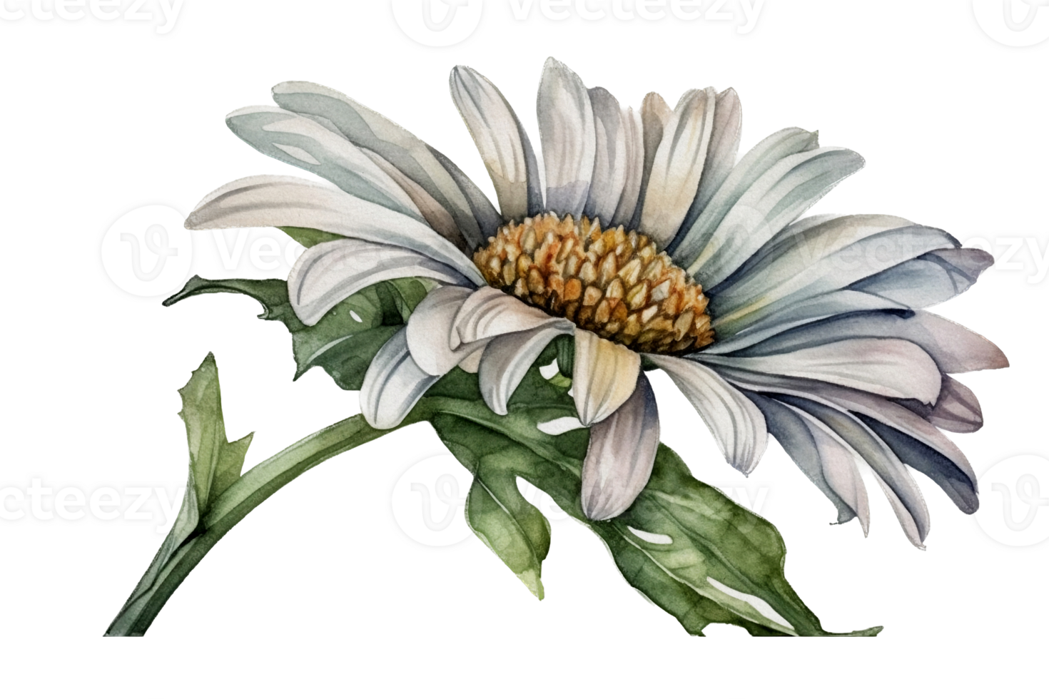 bellissimo fiore con foglia acquerello ai creare png