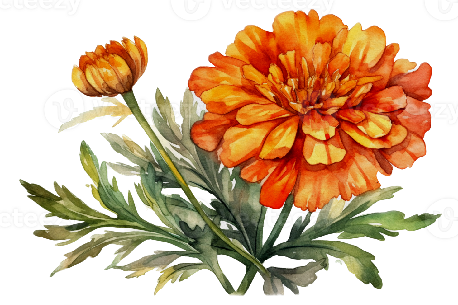 Beautiful flower with leaf watercolor AI Generate png