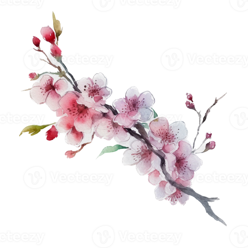 Beautiful flower with leaf watercolor ai generate png