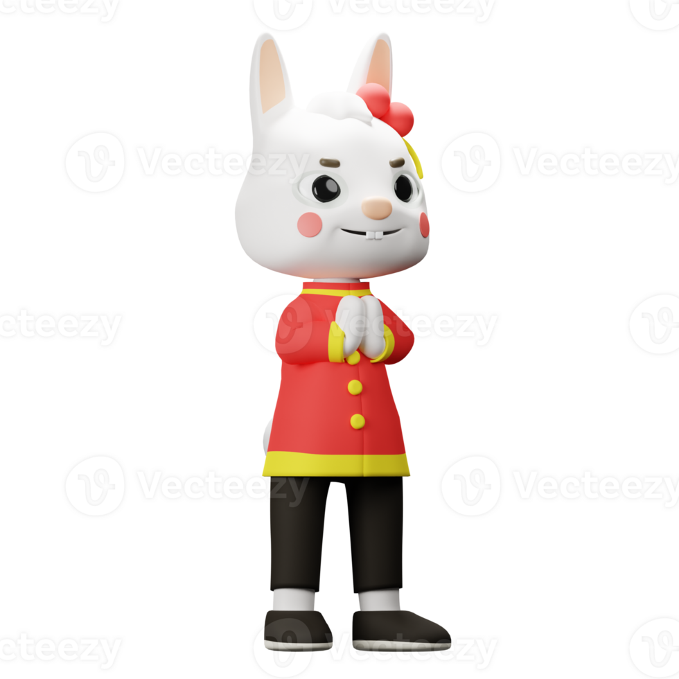 3D China Rabbit Character png