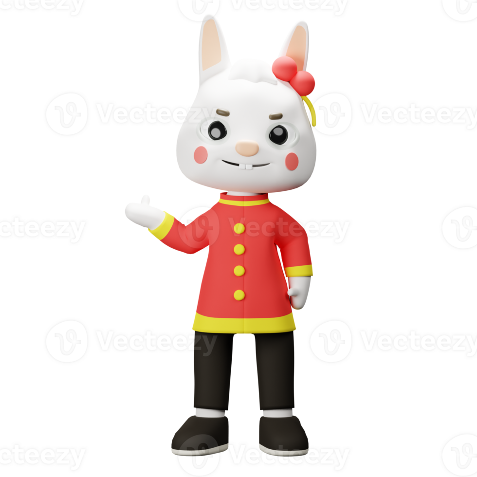 3D China Rabbit Character png