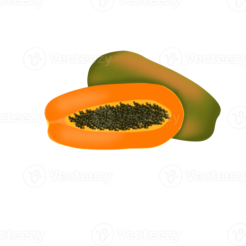 Tropical and exotic papaya fruit png