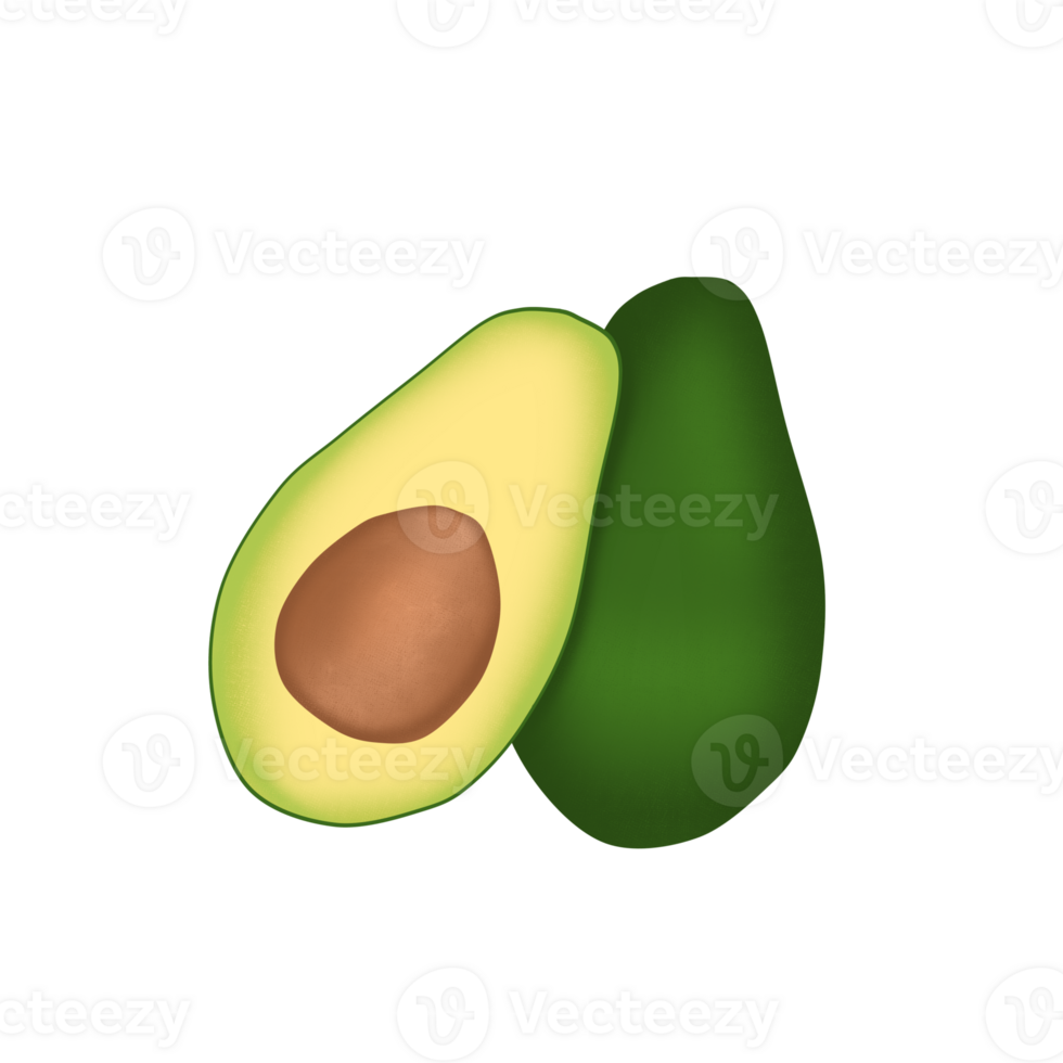 Fresh avocado illustration png