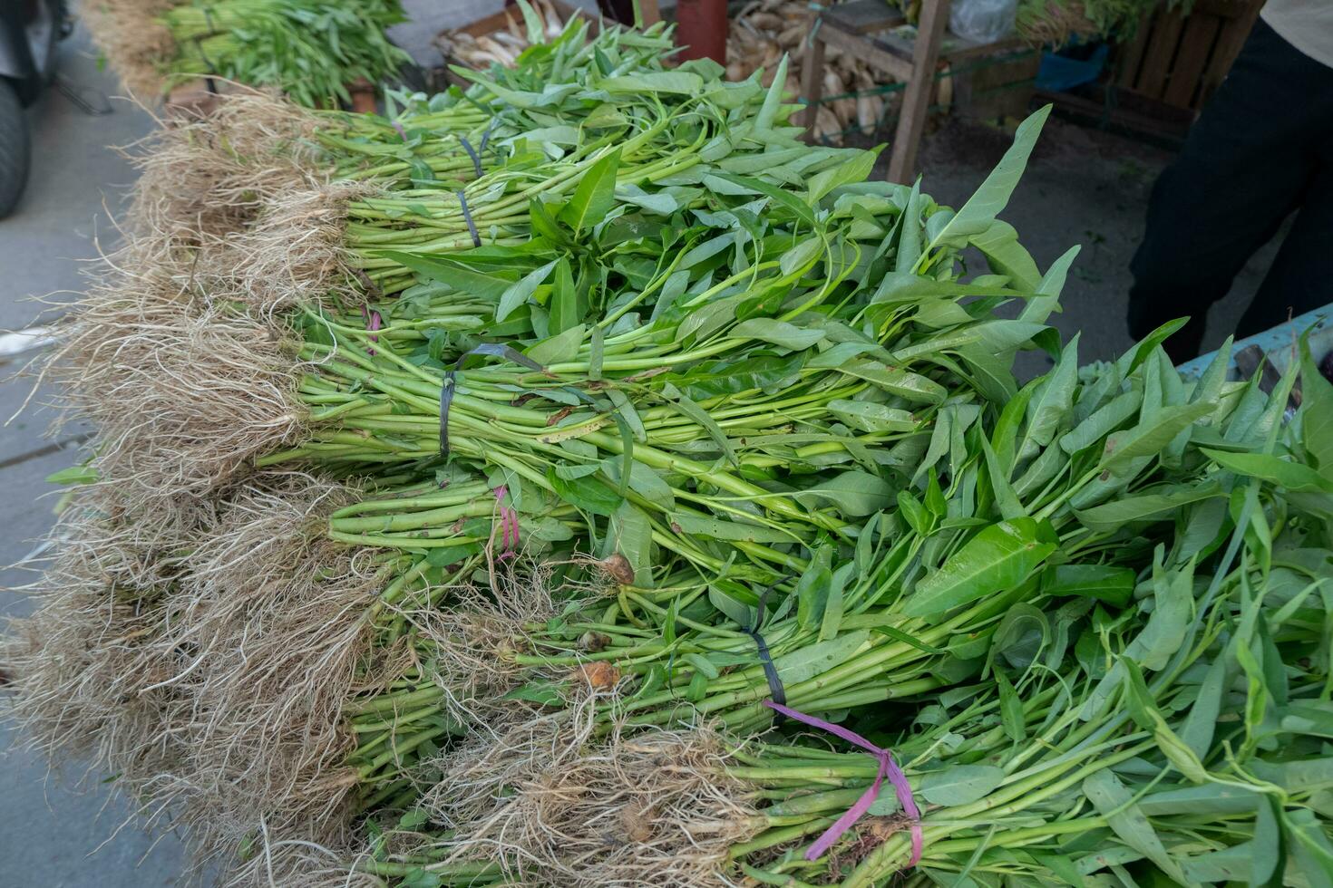 Vegetable and Herb, Pile of Water Spinach or Ipomoea Aquatica Selling at Fresh Market. in Indonesian it is called kangkung photo