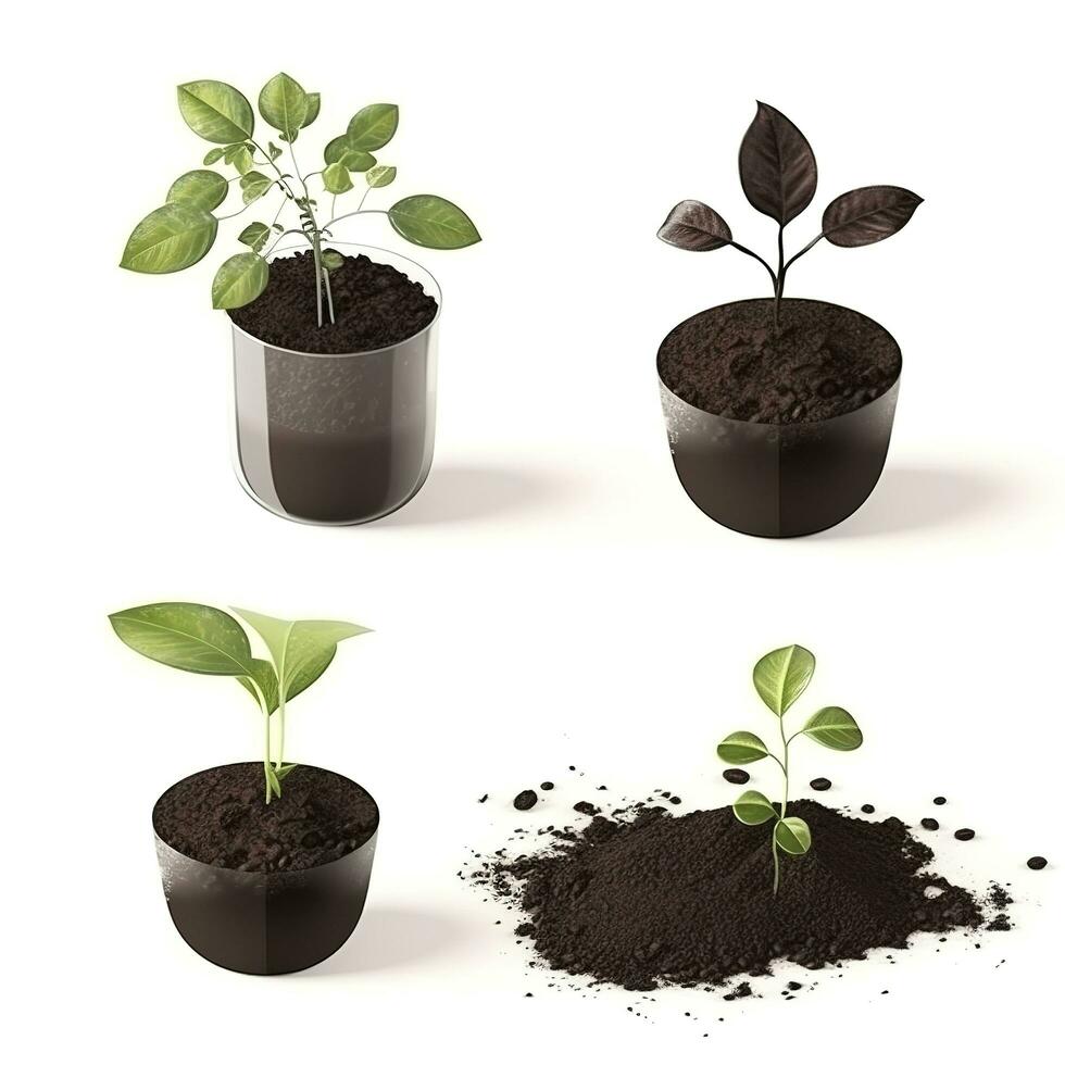 Close up on transplanting process of plants, isolated on white background, generate ai photo