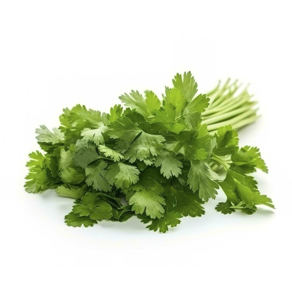 fresh cilantro coriander isolated on white background, generate ai photo