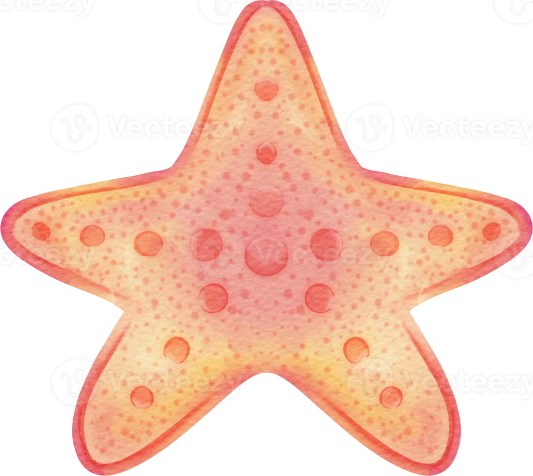 watercolor starfish clip art png