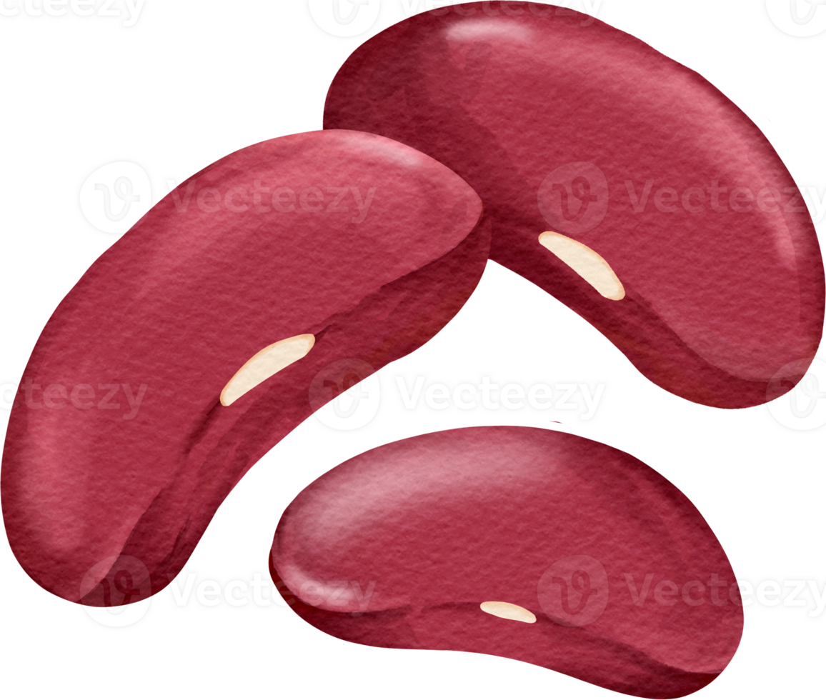 Red bean clip art png