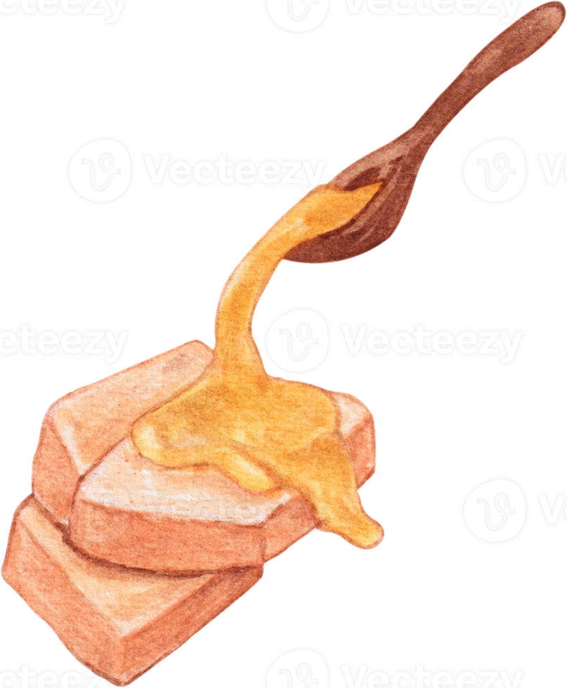watercolor honey clip art png