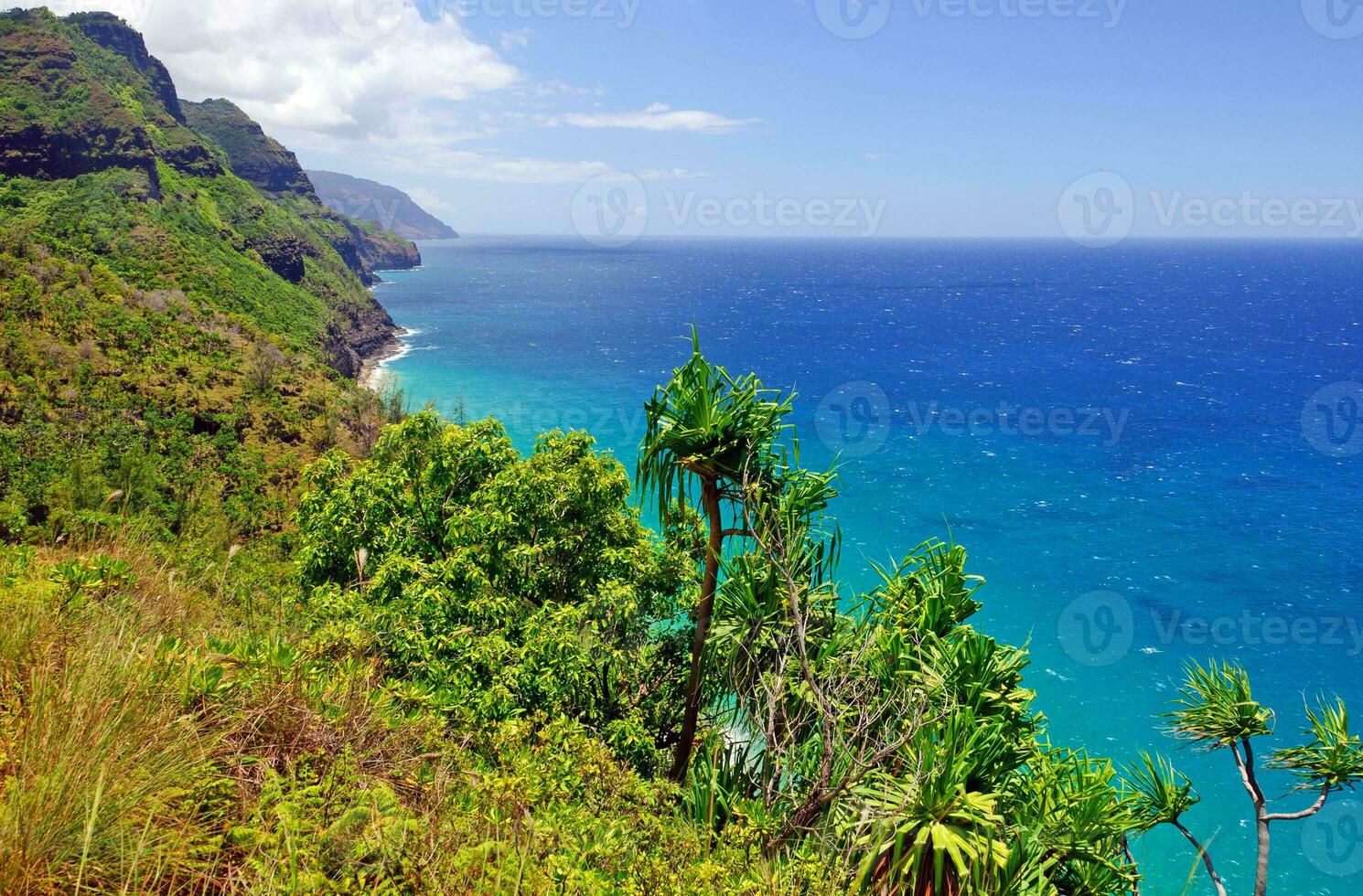 Tropical coast in Hawaii photo