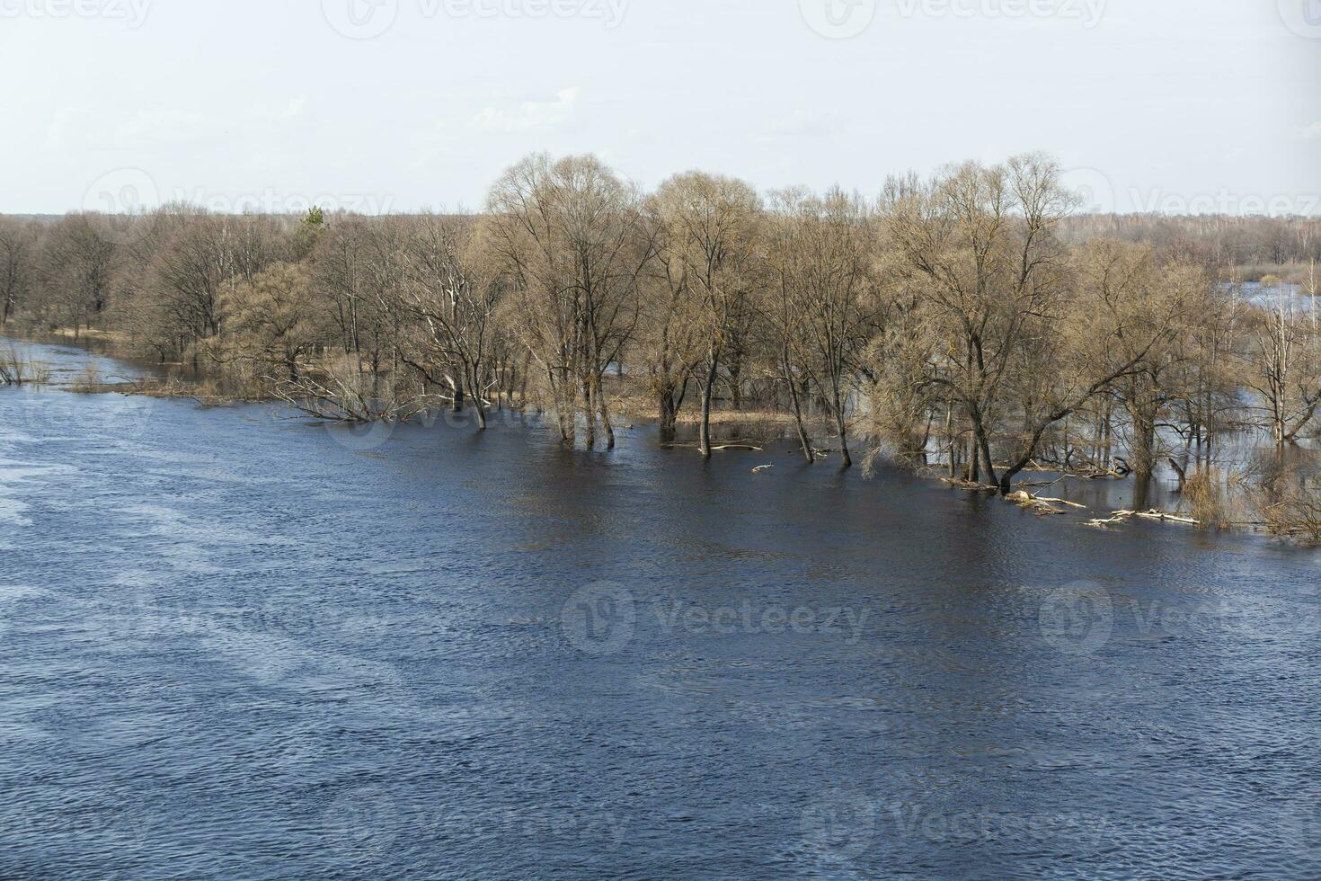 Floods in the spring forest. Sunny spring day and blue sky. Waves on the water. View from above. Photo in high quality. Horizontal