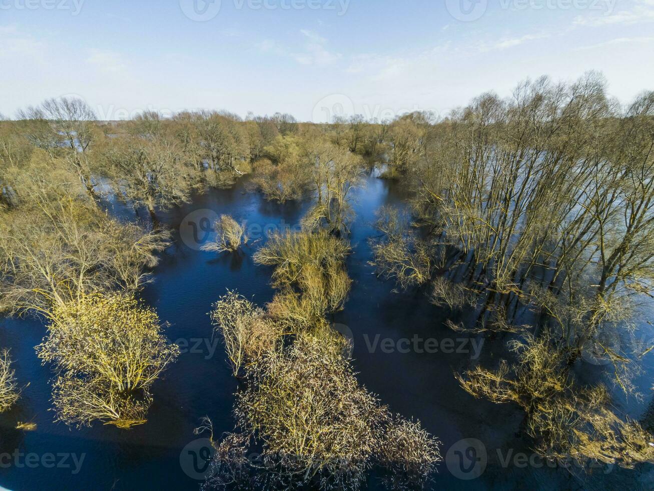 Floods in the spring forest. Sunny spring day and blue sky. Reflection in the blue water. View from above. Photo in high quality. Horizontal