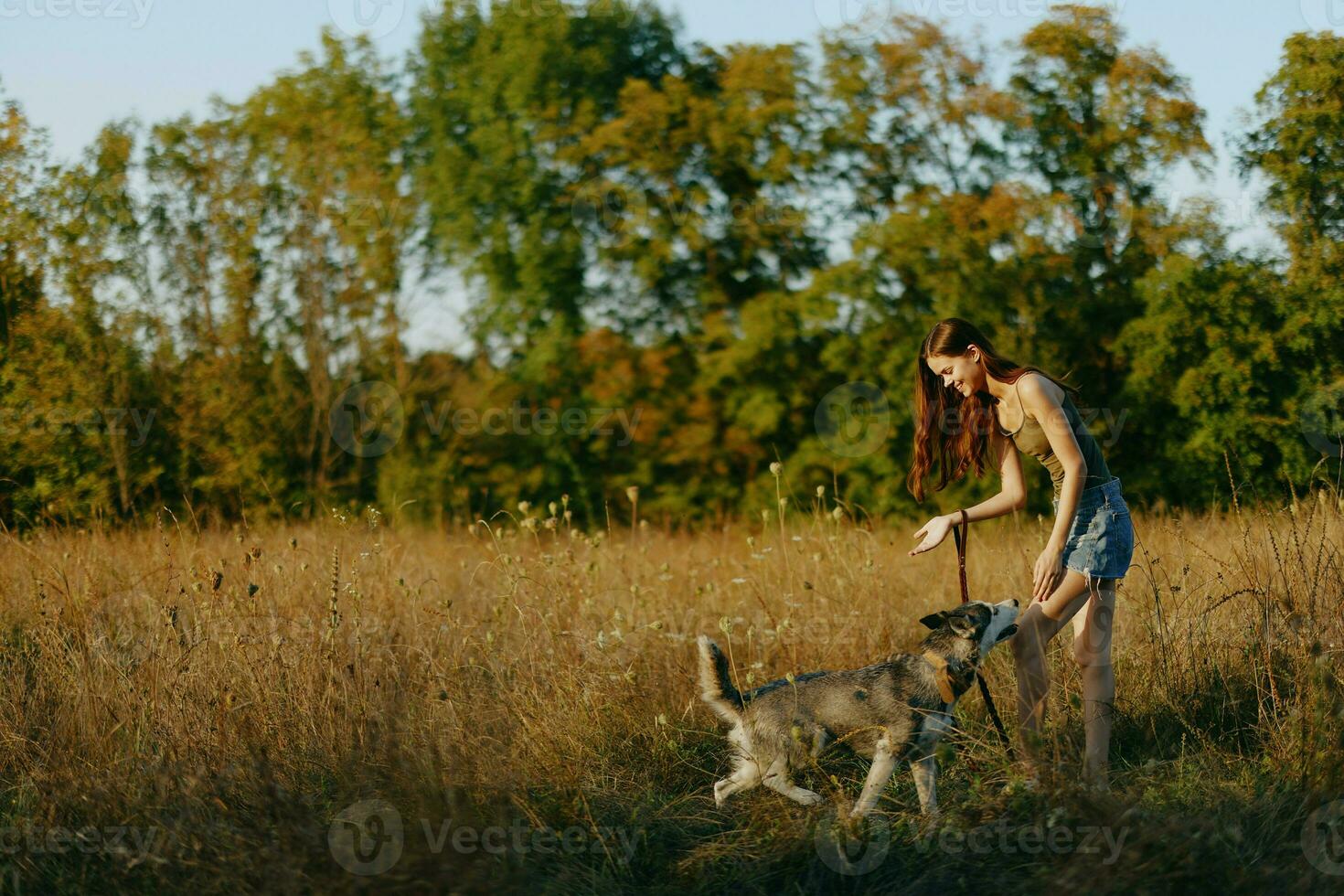 A woman plays and dances with a husky breed dog in nature in autumn on a grass field, training and training a young dog photo