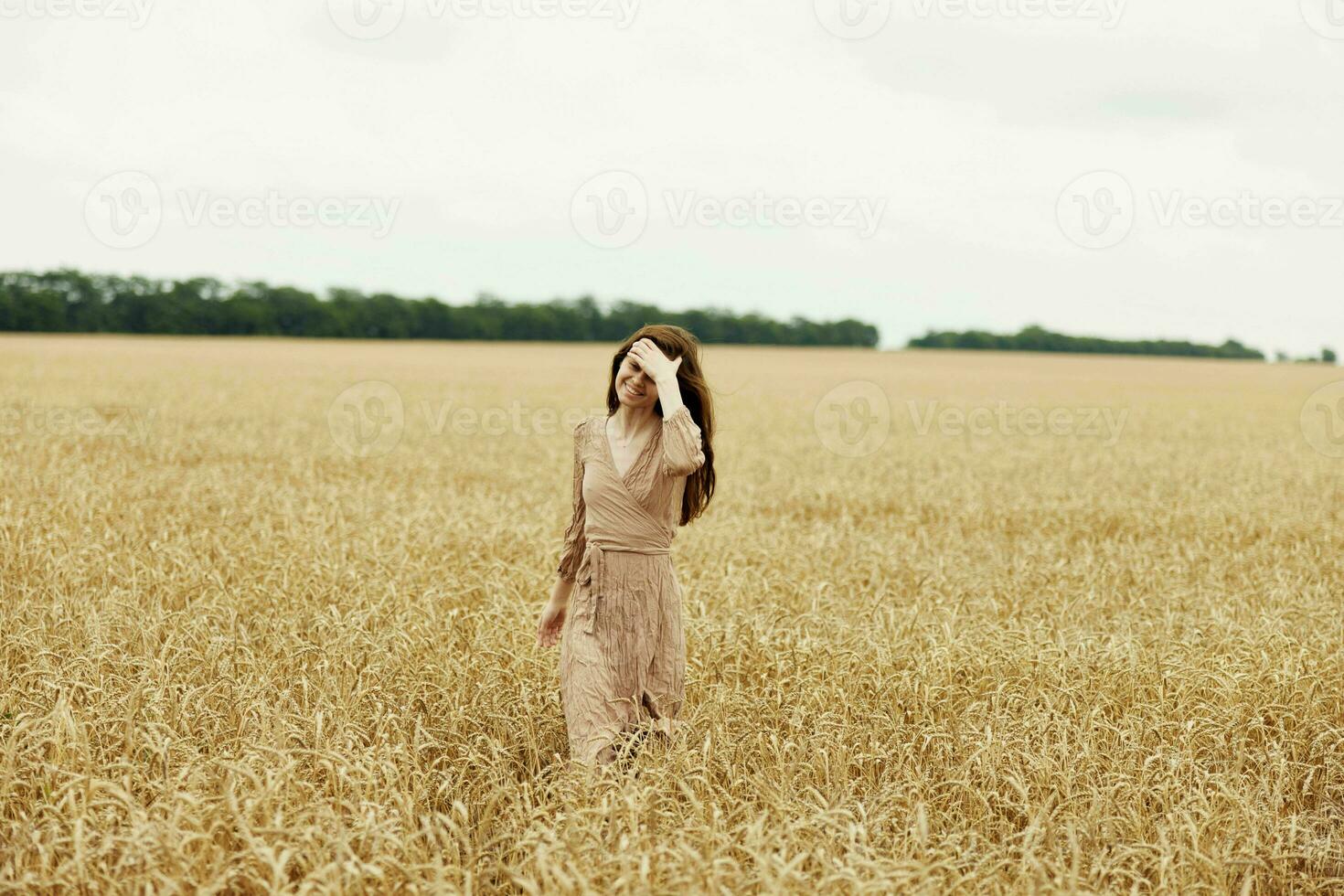 woman spikelets of wheat harvesting organic endless field photo