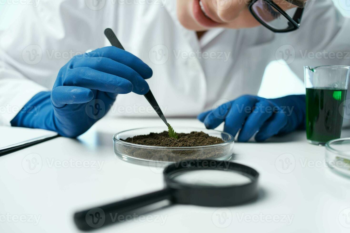 laboratory soil research plants biology science photo