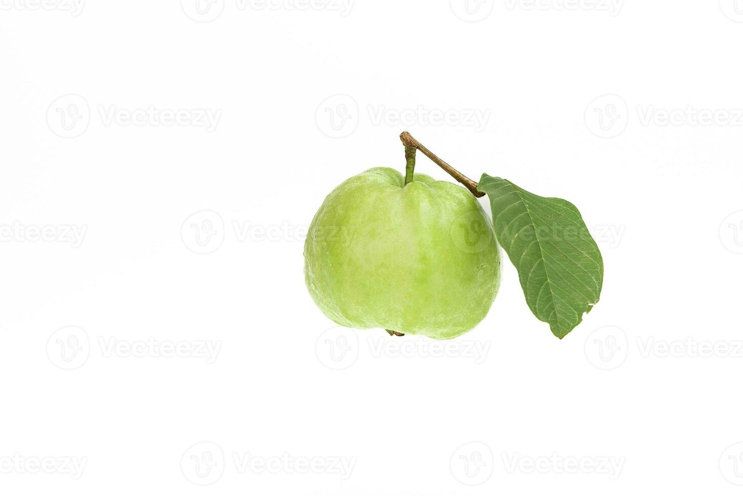 Guavas on white background photo