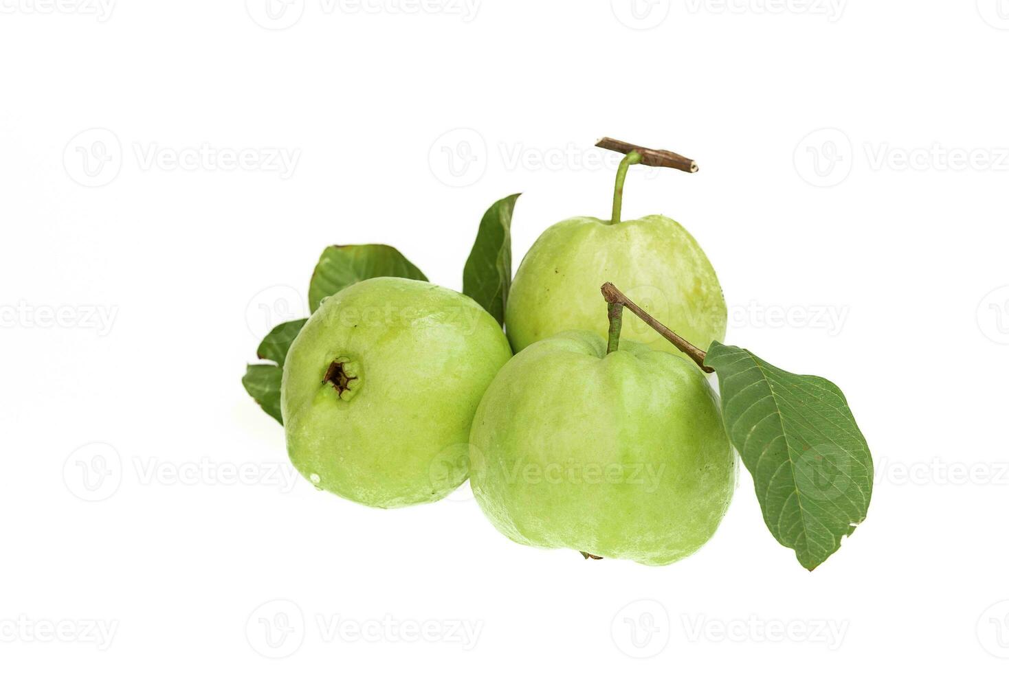 Guavas on white background photo