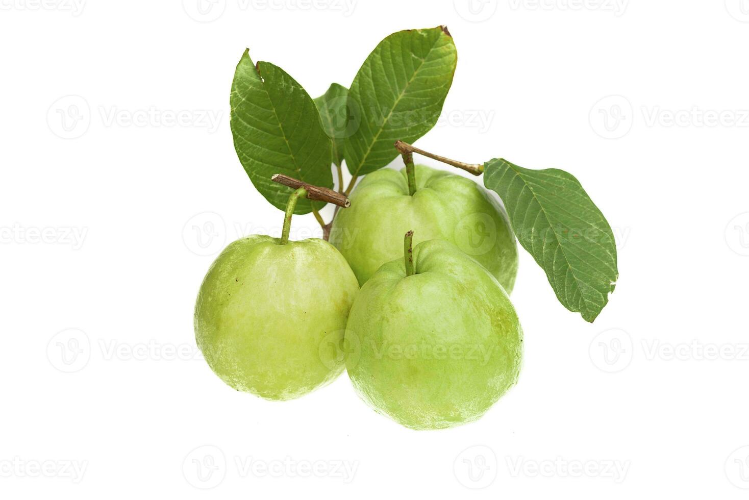 Guavas on white background photo