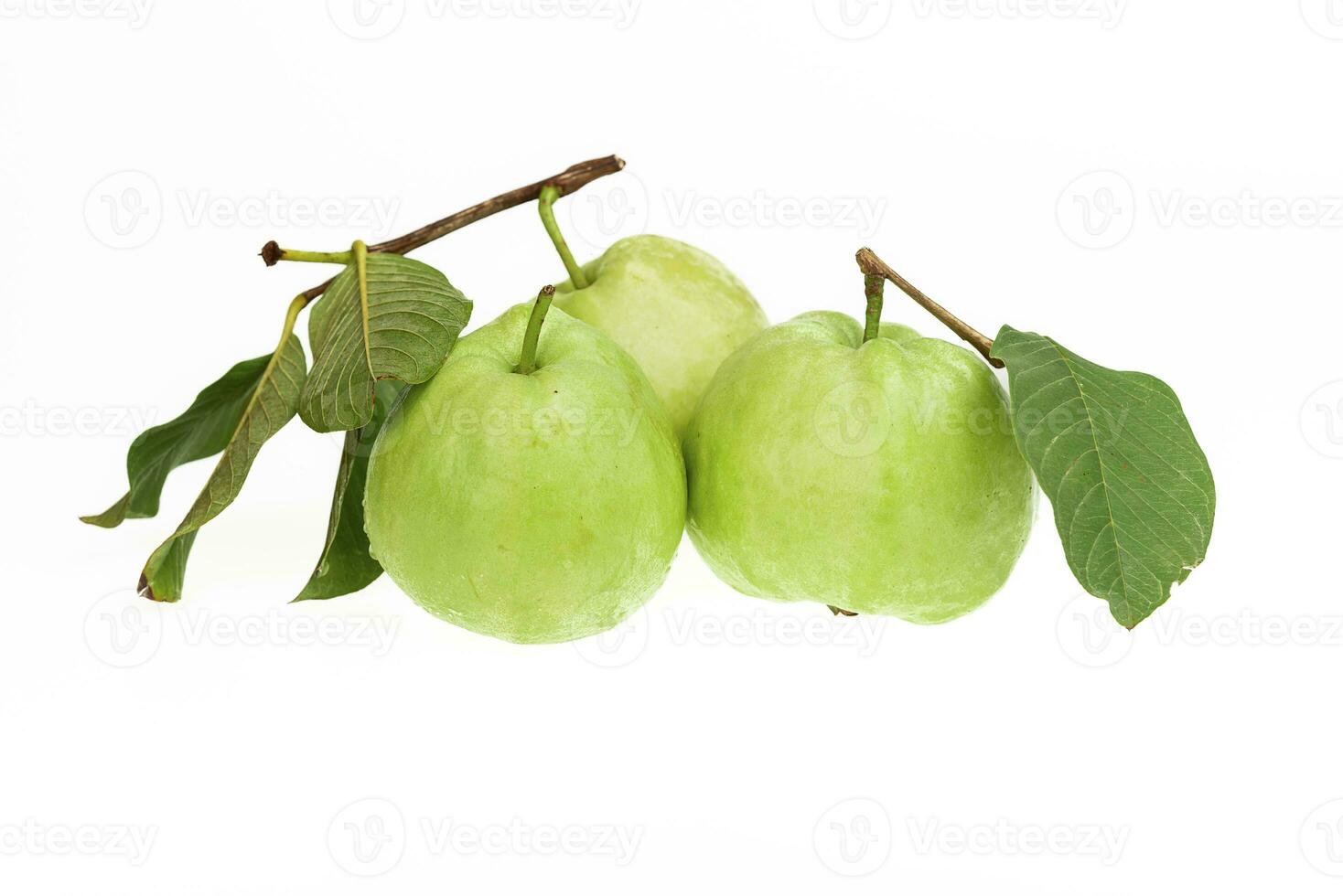 Guavas on white background photo