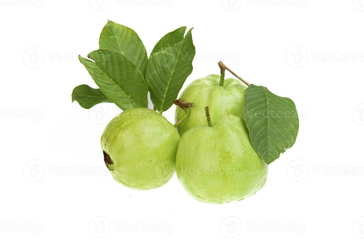 Guavas on white background photo