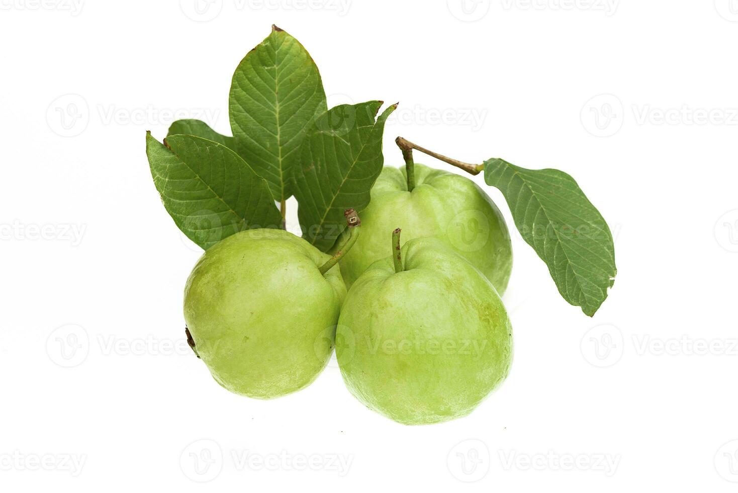 Guavas on white background photo