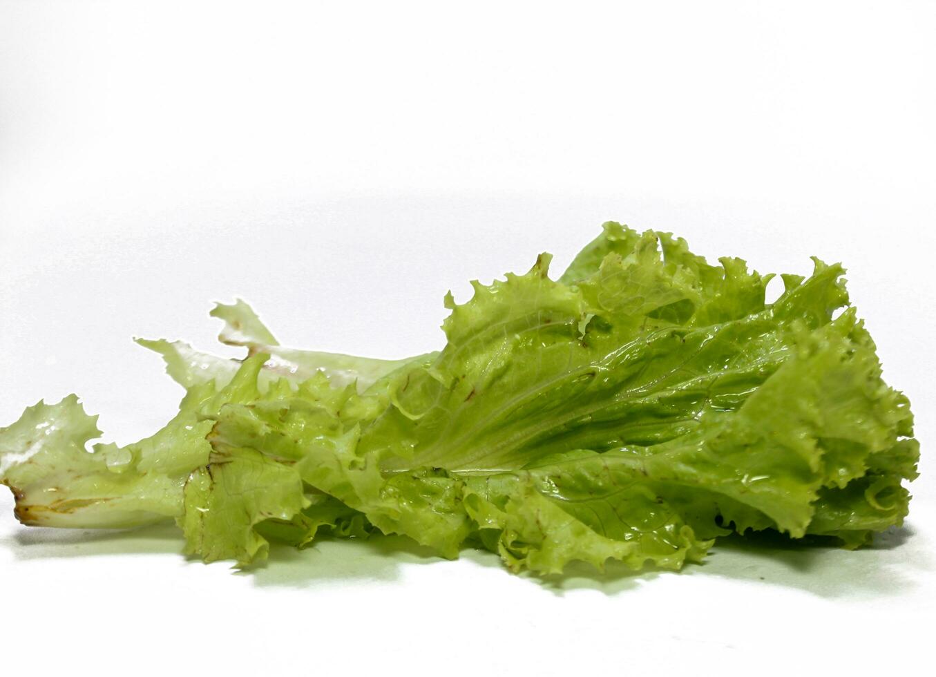 Salad leaf. Lettuce isolated on white background photo