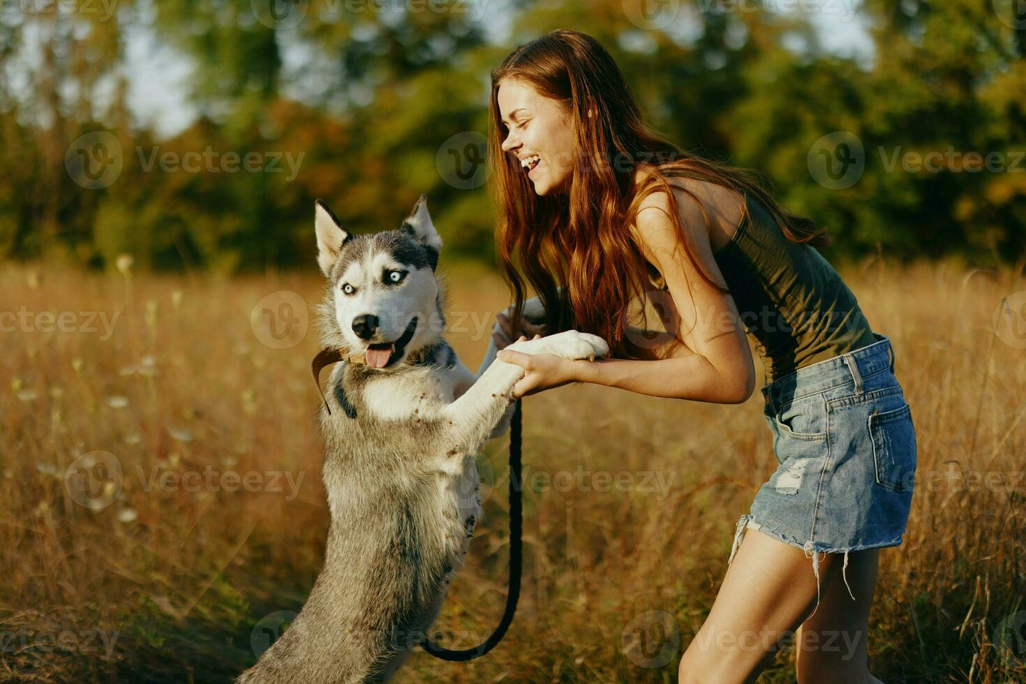 A slender woman plays and dances with a husky breed dog in nature in autumn on a field of grass and smiles at a good evening in the setting sun photo