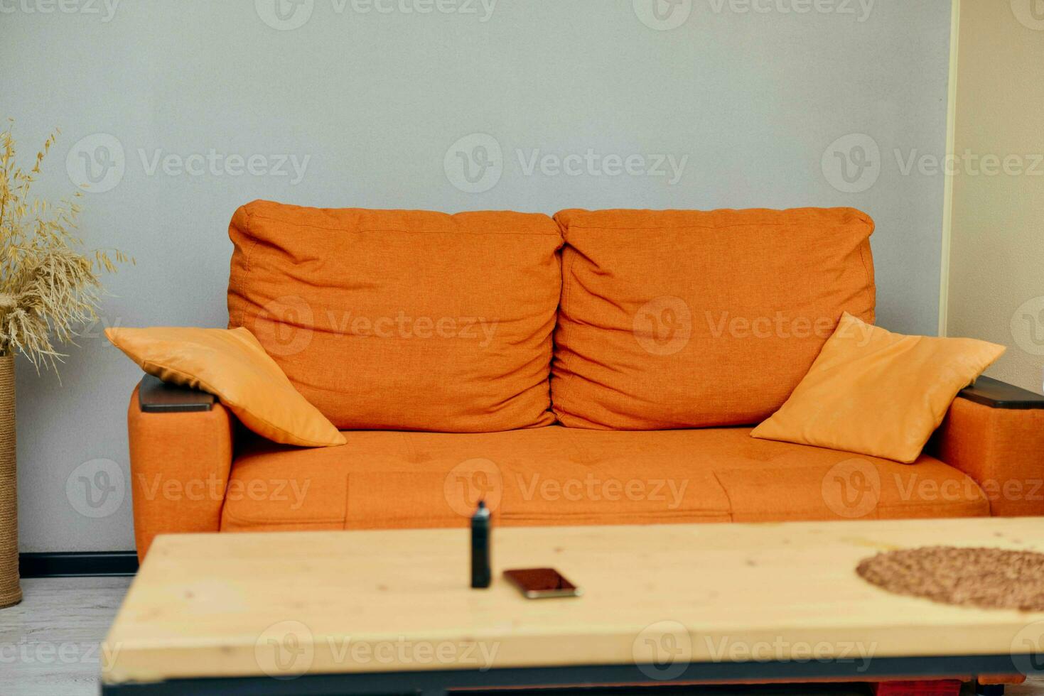 Living room with orange couch photo