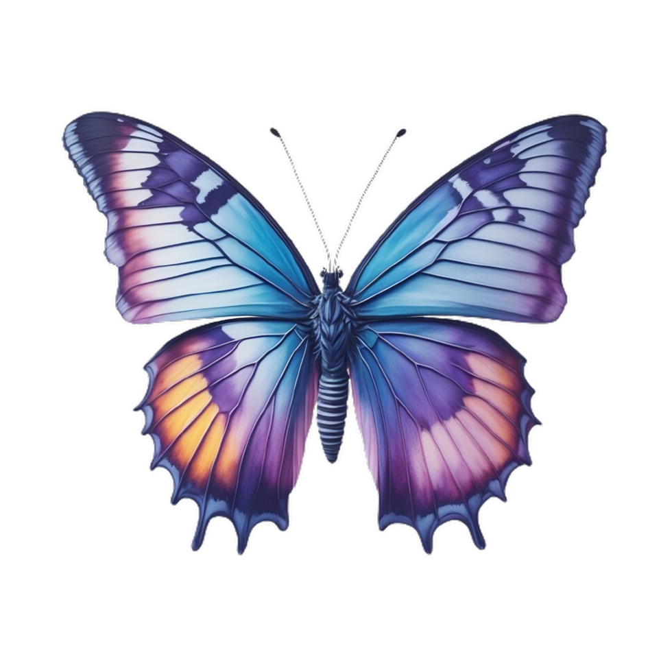 vlinder afbeelding PNG vrij downloaden