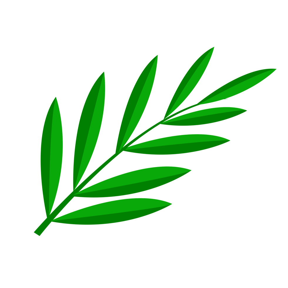 foglie di bambù verde png