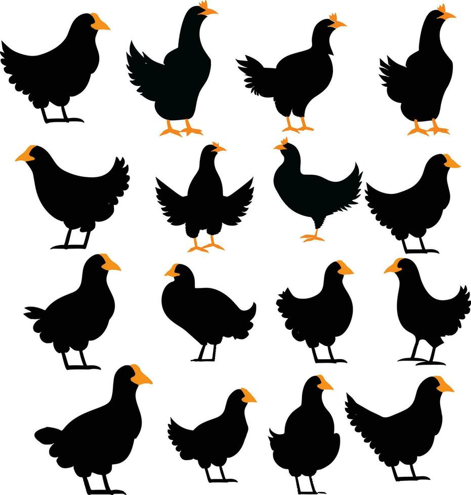 Set Realistic Silhouettes Of Hens  Isolated Vector On A White Background Stock Illustration