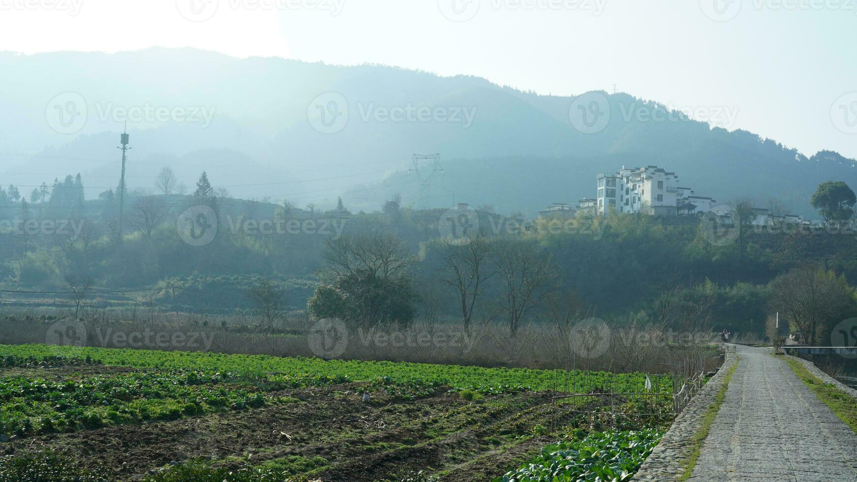 The beautiful traditional Chinese village view with the classical architecture and fresh green mountains as background photo