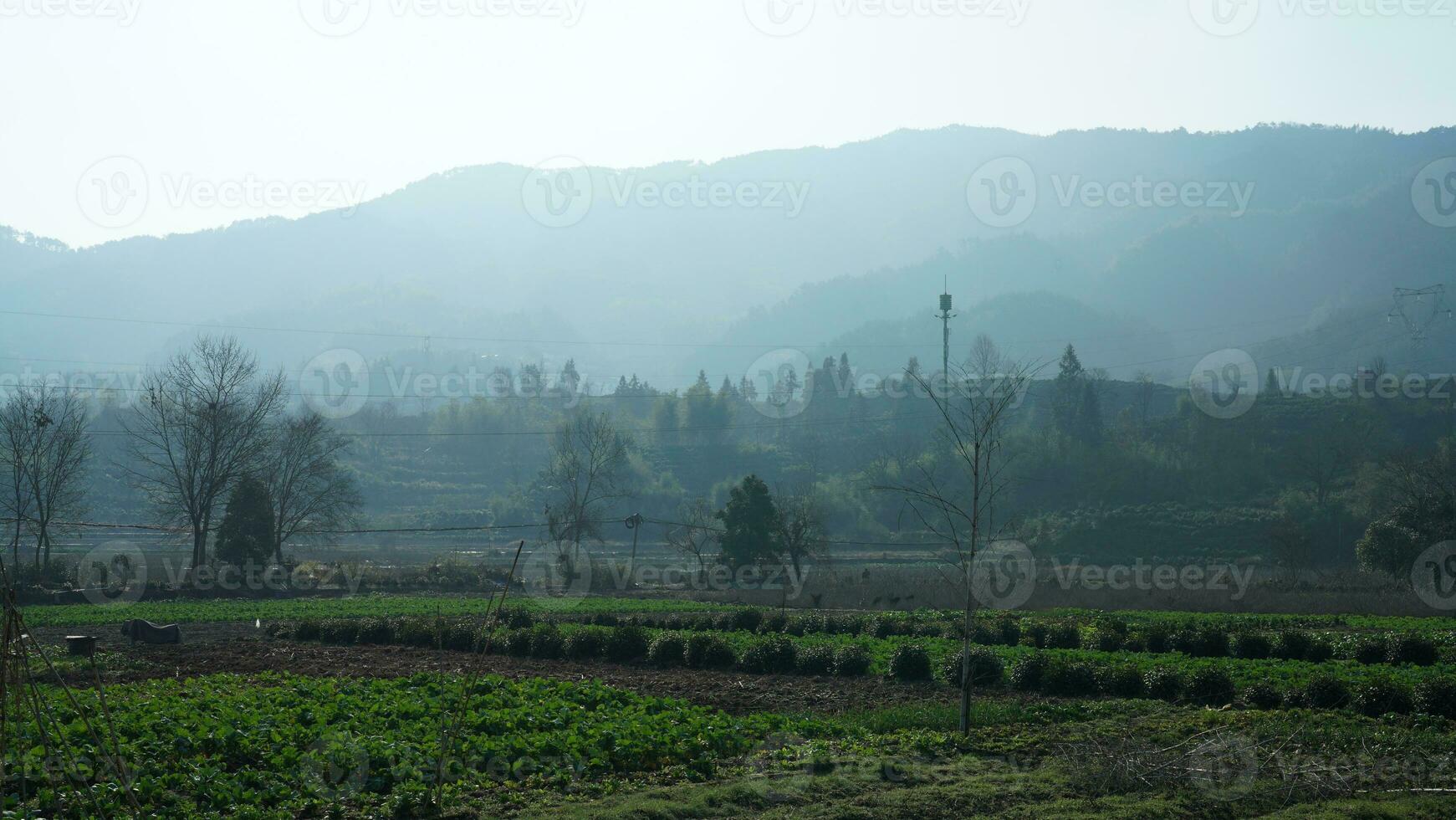 The beautiful traditional Chinese village view with the classical architecture and fresh green mountains as background photo