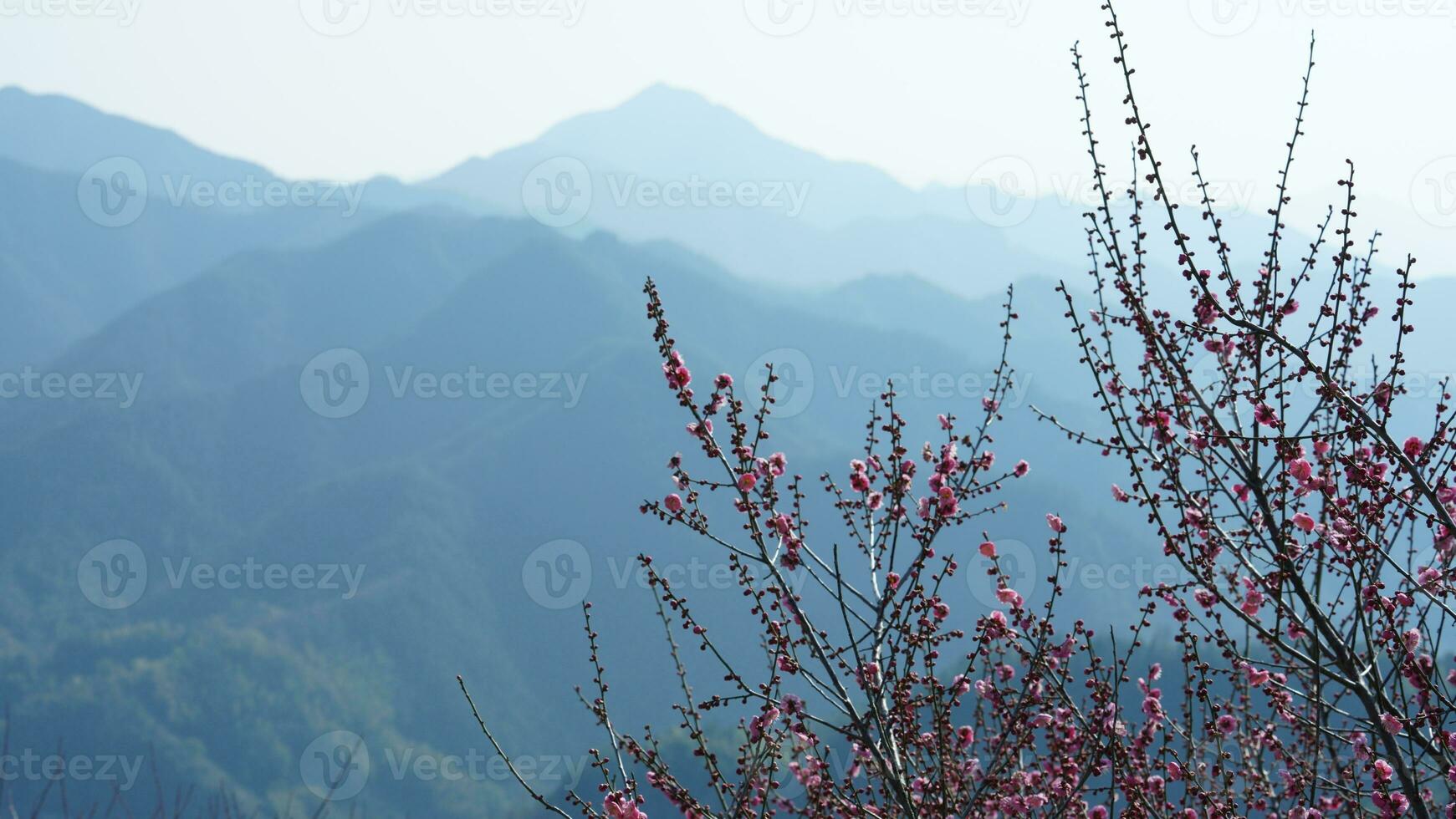 Image Xuân Bắc image beautiful - The beautiful mountains view from the top of the hill in spring ...
