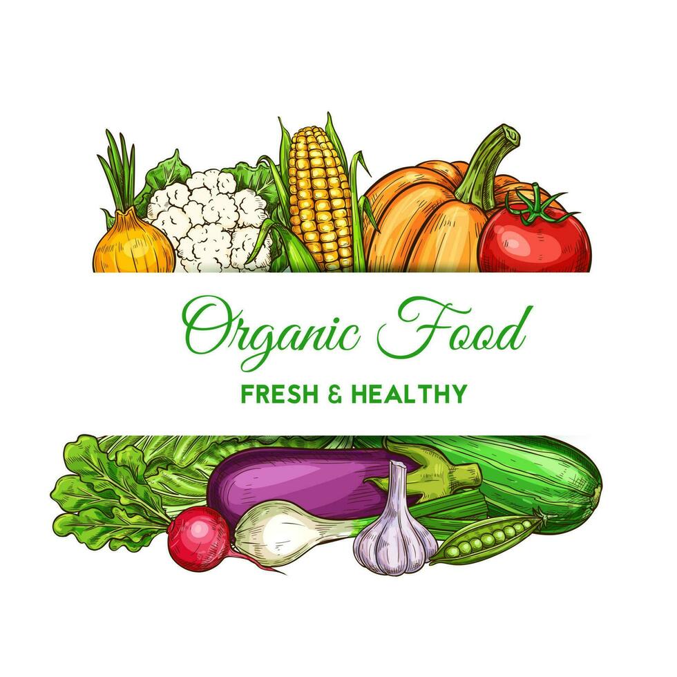 Vegetables, green veggies food, farm grocery vector
