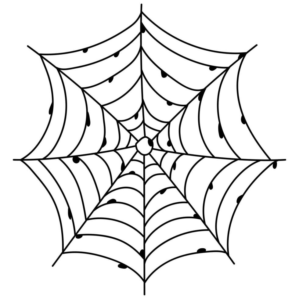 Scary spider web isolated. Spooky Halloween decoration. Outline cobweb illustration vector