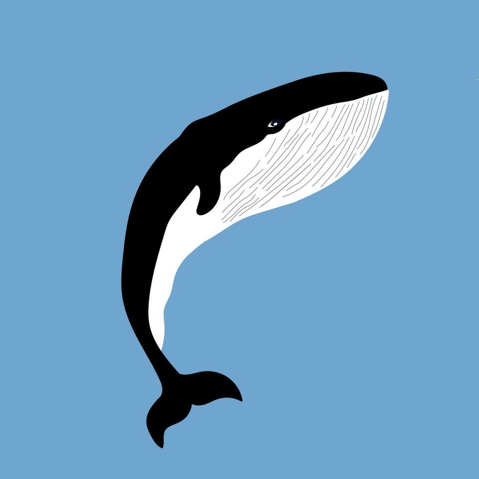 un mano dibujado ballena en azul antecedentes. Oceano y mar vida tema. mano dibujado obra de arte vector