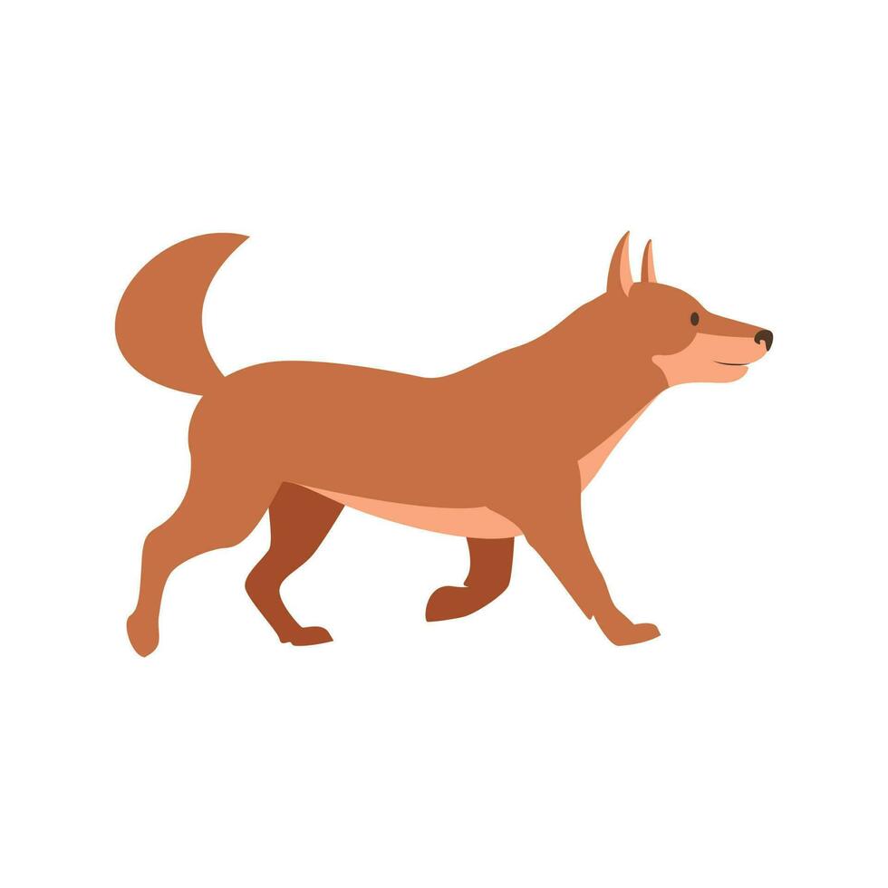 linda akita inu perro caminando plano vector ilustración en marrón color. gracioso dibujos animados personaje con sonriente cara y meneando cola. utilizar como icono, firmar, o diseño elemento para relacionado con mascotas concepto