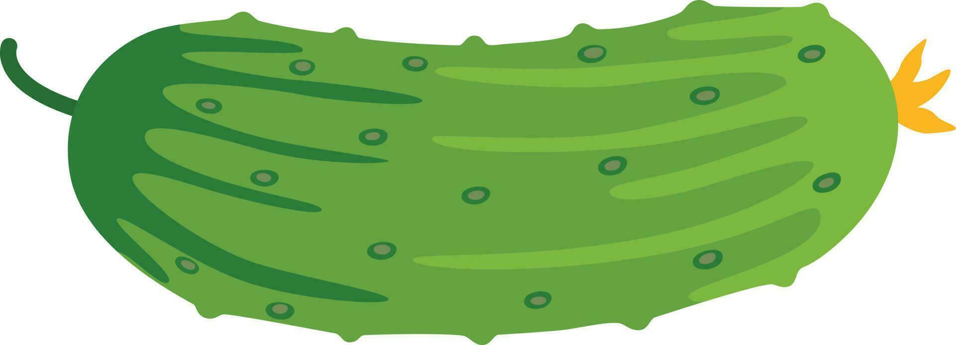 Cucumber vegetable illustration vector