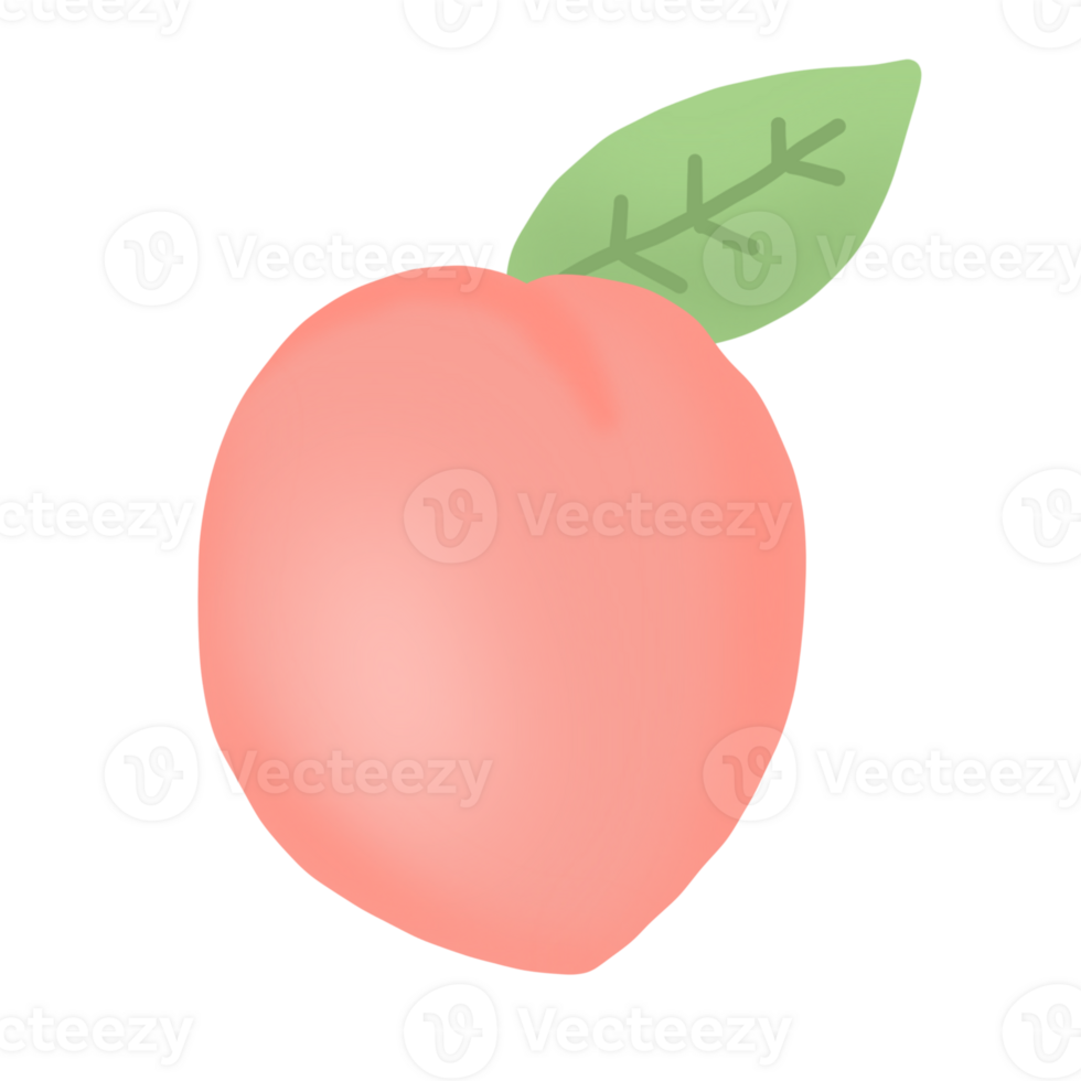 Peach fruit cartoon png