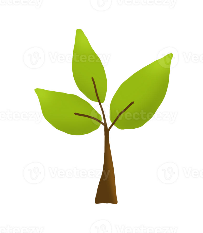 Tree nature leaf png