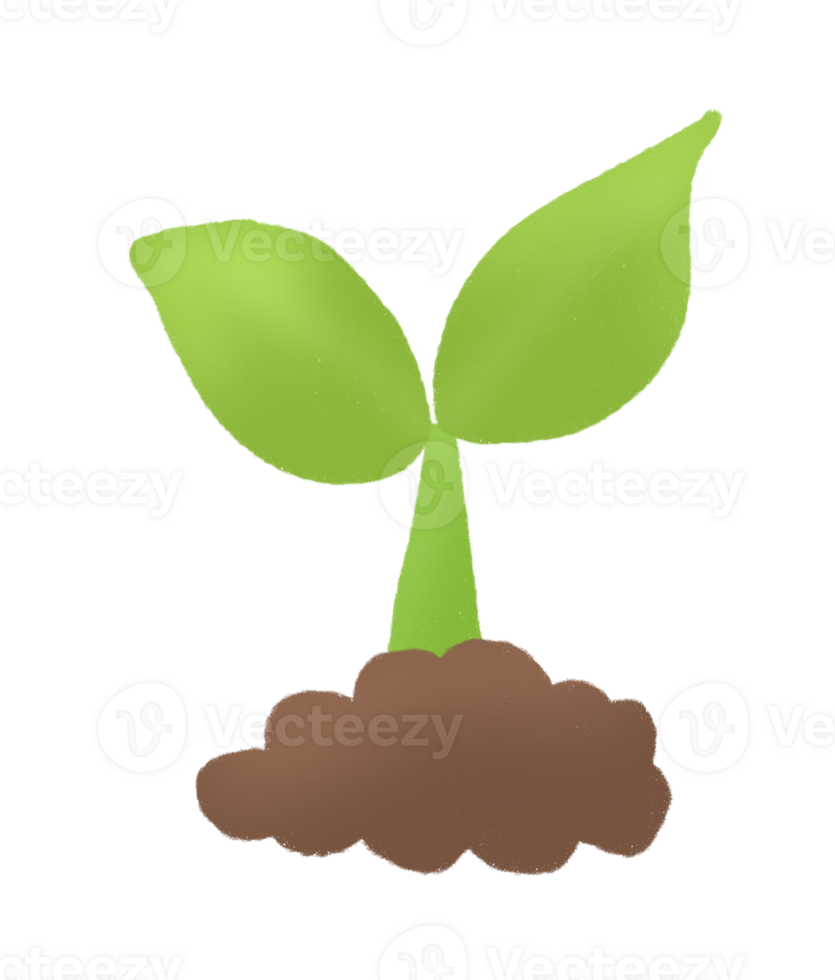 Tree nature leaf png