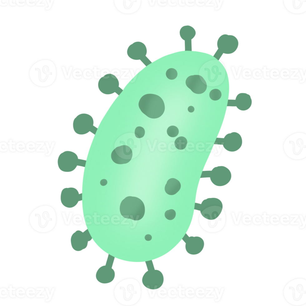 bacterias enfermedad dibujos animados png