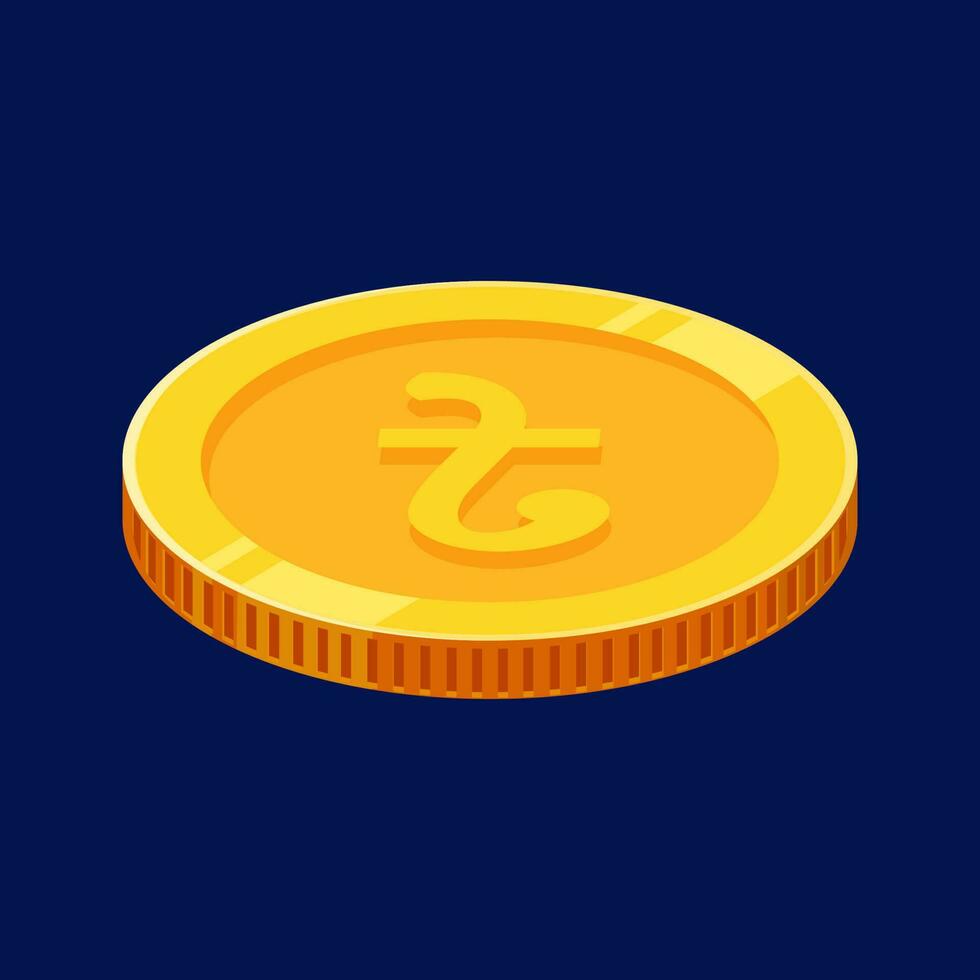 Taka Bangladesh Gold Coin Money vector