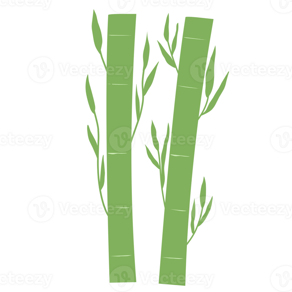 Green Bamboo for Decorations png