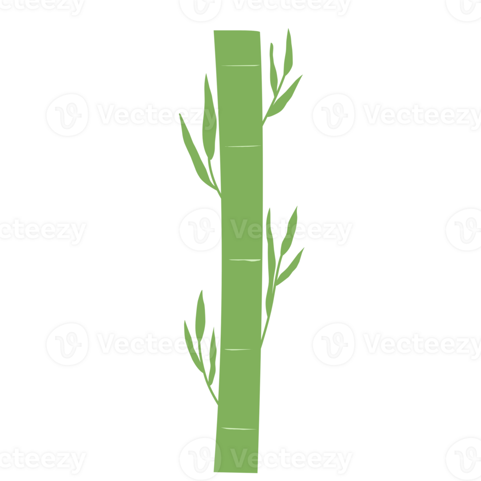 Green Bamboo for Decorations png